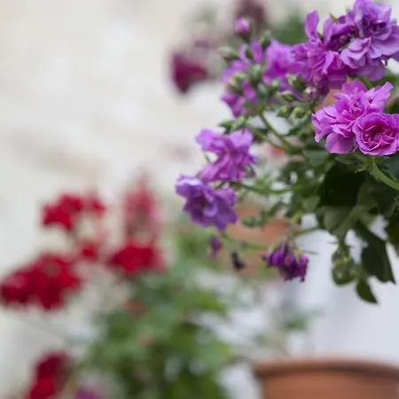 19venti Bed and breakfast