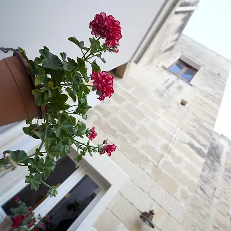 19venti Lecce